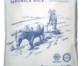 Japonica