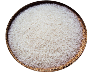 Rice IR50404
