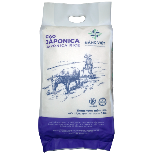 Japonica